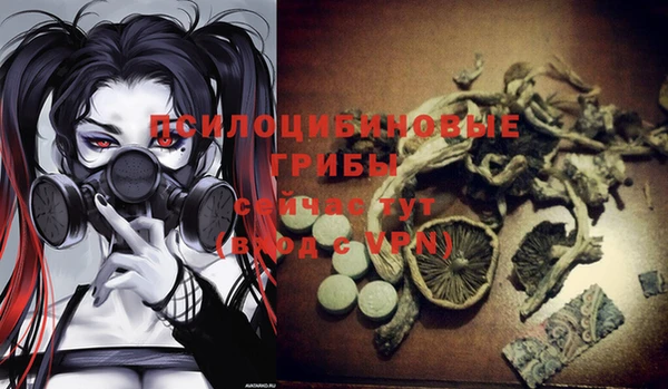 хмурый Алексин