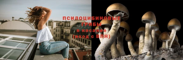 хмурый Алексин