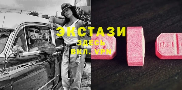 хмурый Алексин