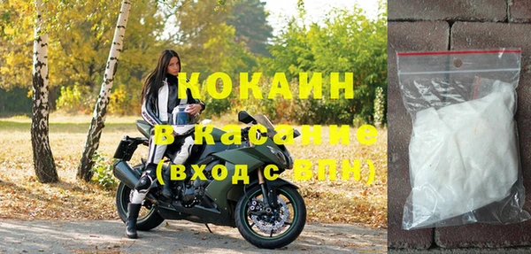 хмурый Алексин