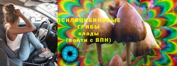 трава Алзамай