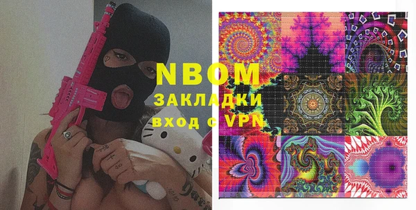 хмурый Алексин