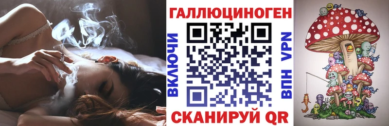 Псилоцибиновые грибы Psilocybe  купить наркотик  Лодейное Поле 
